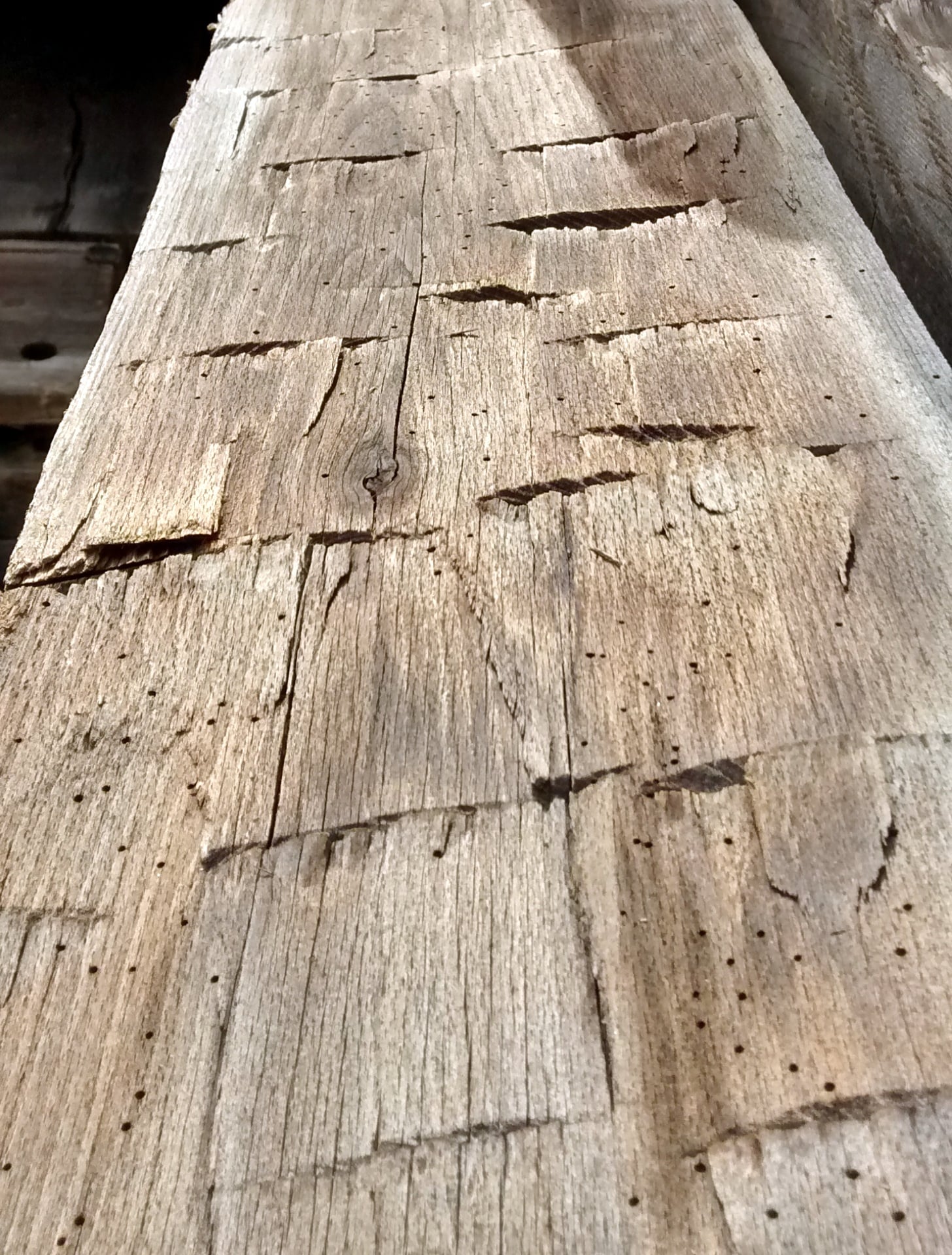 Hand hewn beam. This is most likely Chestnut.